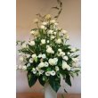 埼玉県蕨市フラワーショップヨシカワの花　御祝、御供え　白系アレンジメント