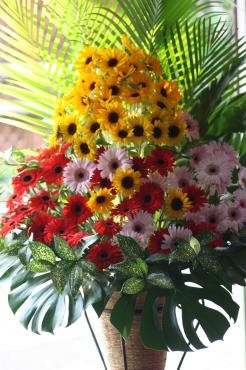 花いっぱいの贈りもの。｜「フラワーショップヨシカワ」　（埼玉県蕨市の花キューピット加盟店 花屋）のブログ