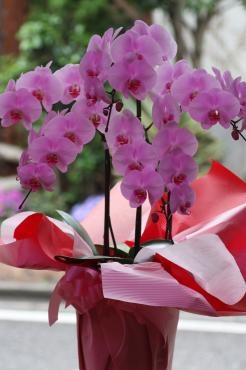 お届けのお花達。｜「フラワーショップヨシカワ」　（埼玉県蕨市の花キューピット加盟店 花屋）のブログ