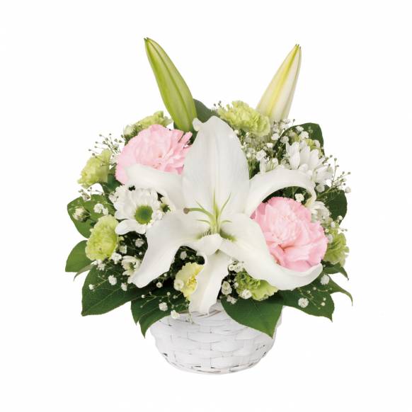 アレンジメント（お供え）